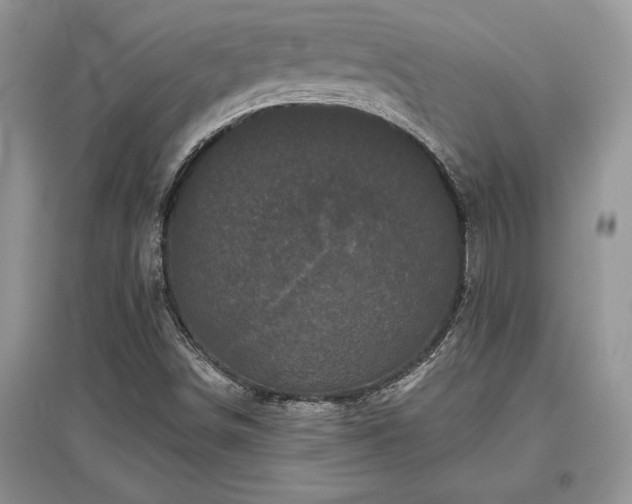 X0000097631498200803071520