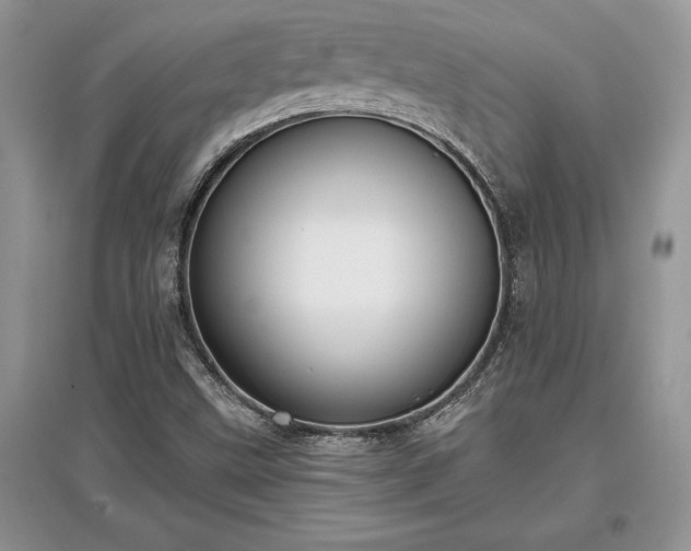 X0000097631499200803071520