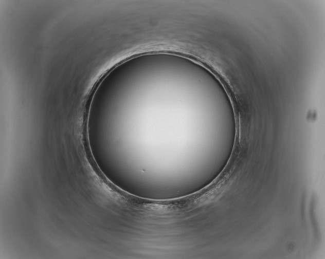 X0000097631500200803071520