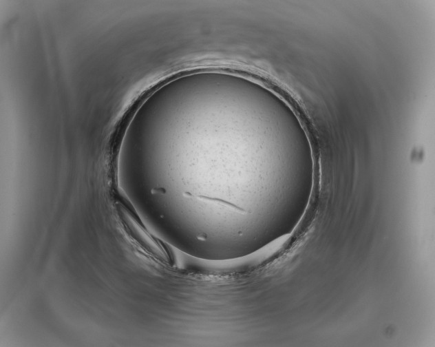 X0000097631501200803071520