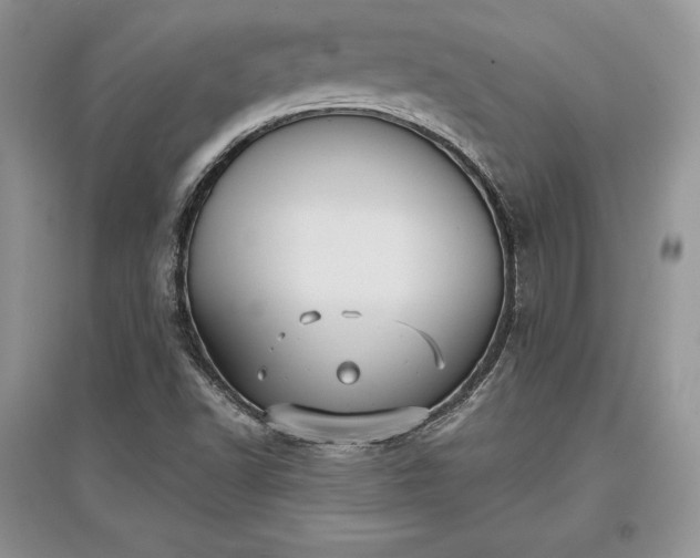 X0000097631502200803071520