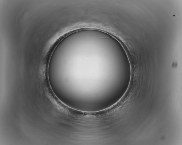 X0000097631503200803071520