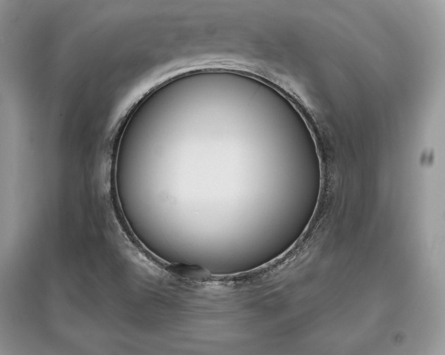 X0000097631504200803071520