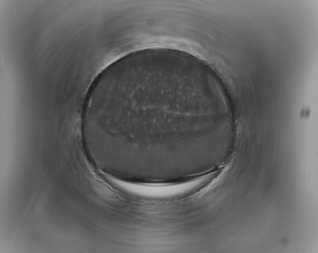 X0000097631505200803071520