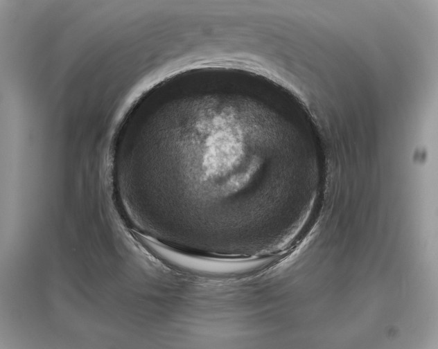 X0000097631506200803071520