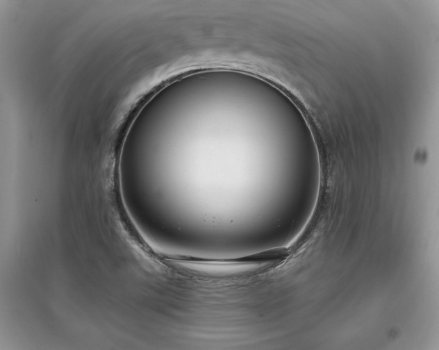 X0000097631507200803071520