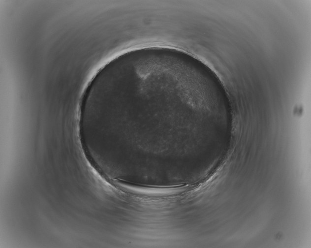 X0000097631508200803071520