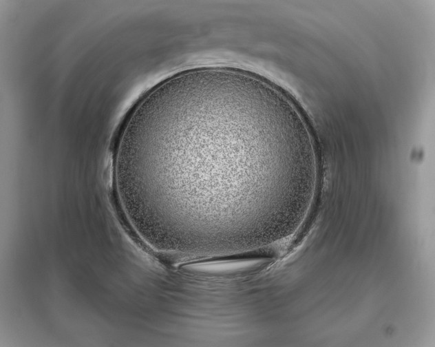 X0000097631509200803071520