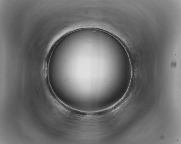 X0000097631510200803071520