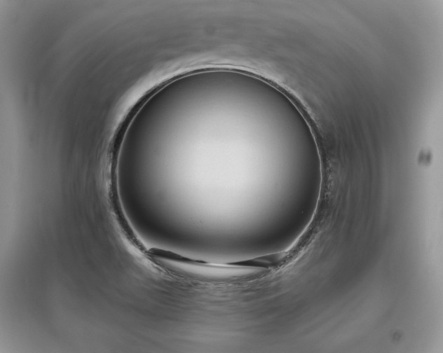 X0000097631511200803071520