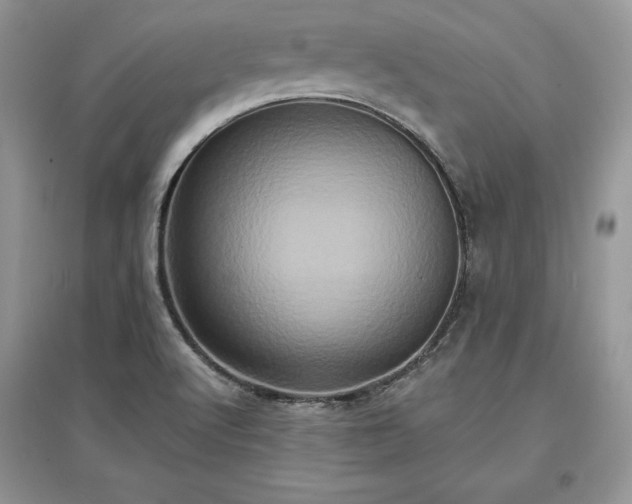 X0000097631512200803071520