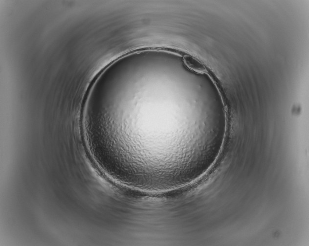 X0000097631513200803071520