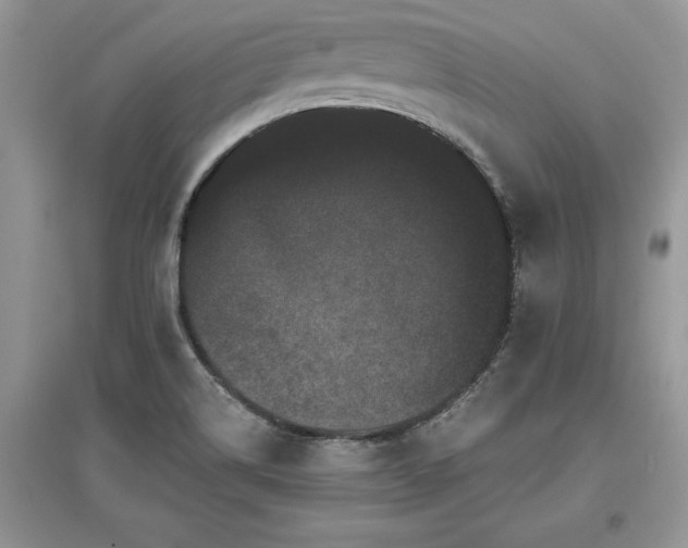 X0000097631514200803071520