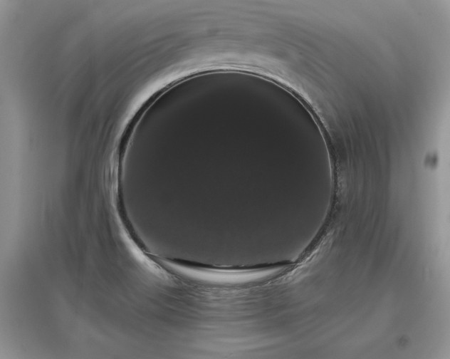 X0000097631515200803071520