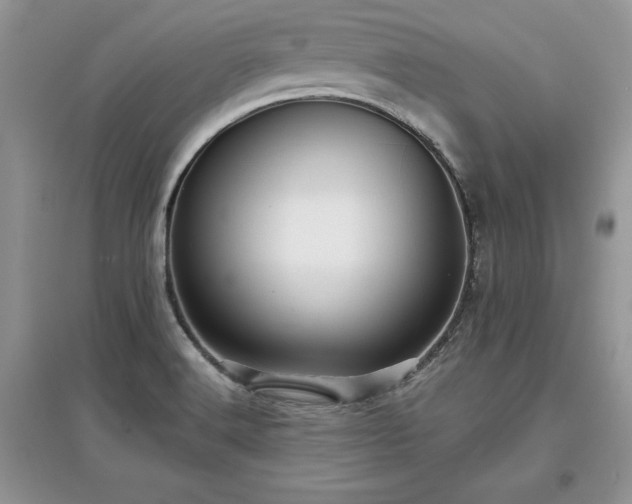 X0000097631516200803071520