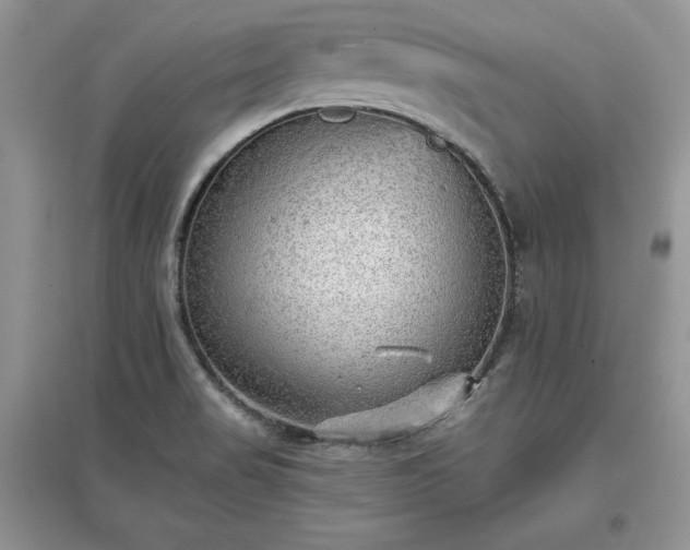 X0000097631517200803071520