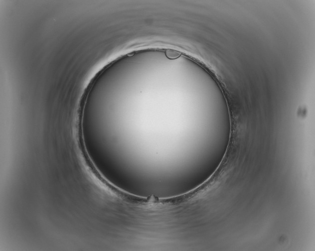 X0000097631518200803071520