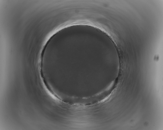 X0000097631519200803071520