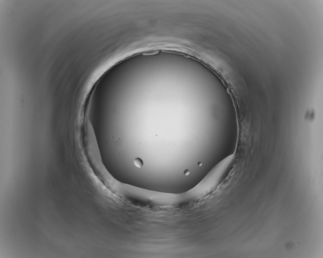 X0000097631520200803071520