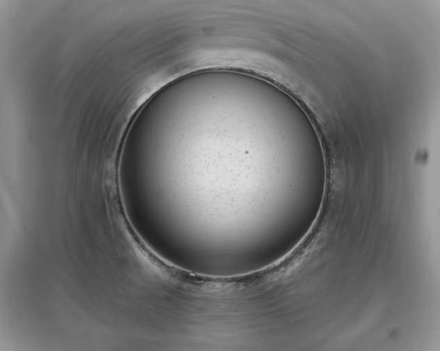 X0000097631521200803071520