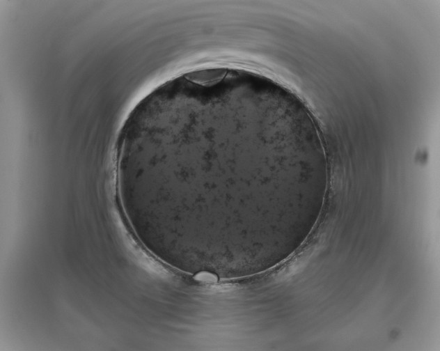 X0000097631522200803071520