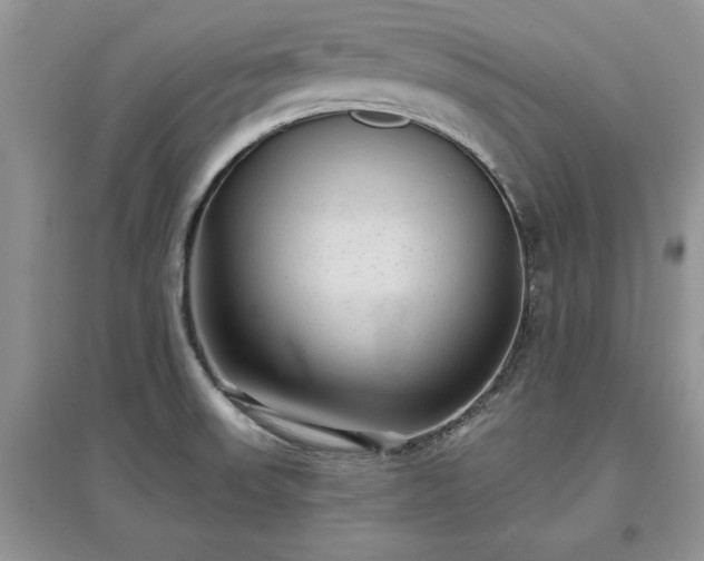 X0000097631523200803071520