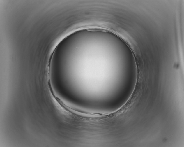 X0000097631524200803071520