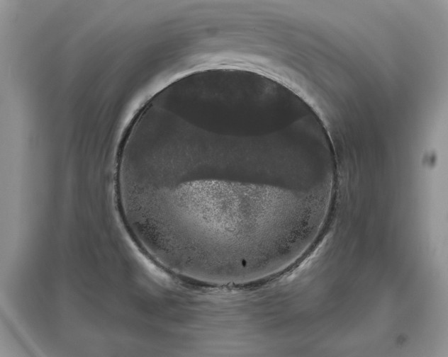 X0000097631525200803071520