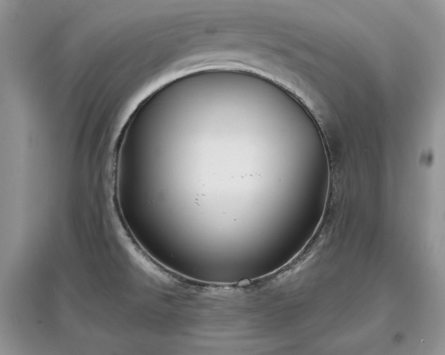 X0000097631526200803071520