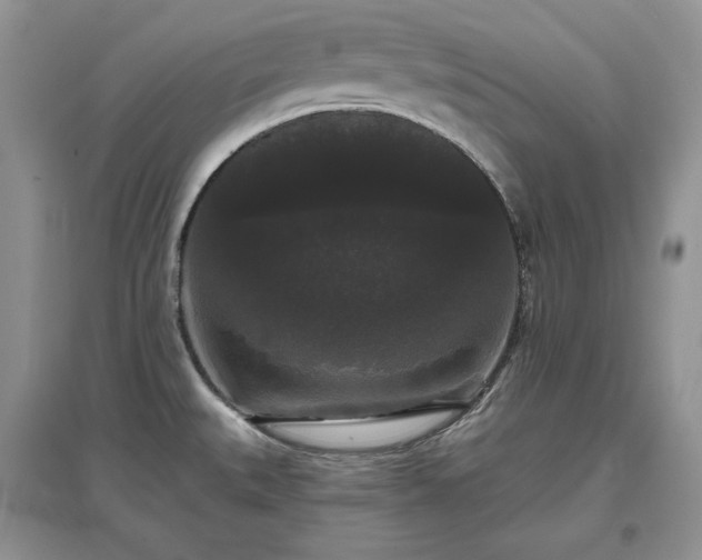 X0000097631527200803071520