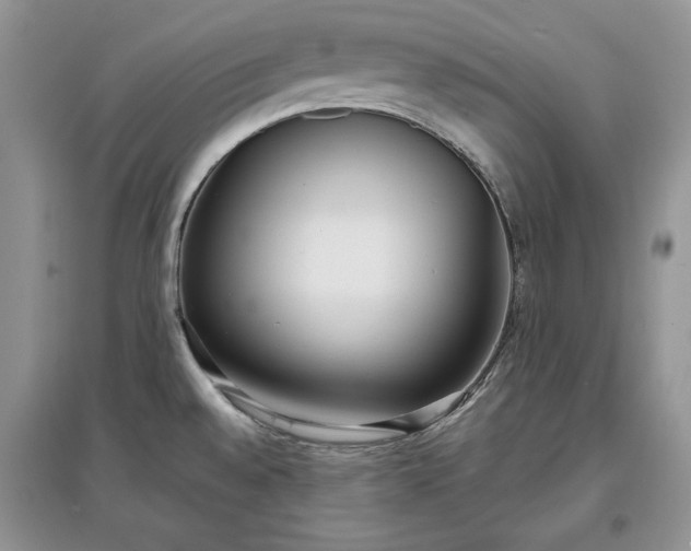 X0000097631528200803071520