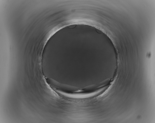 X0000097631529200803071520