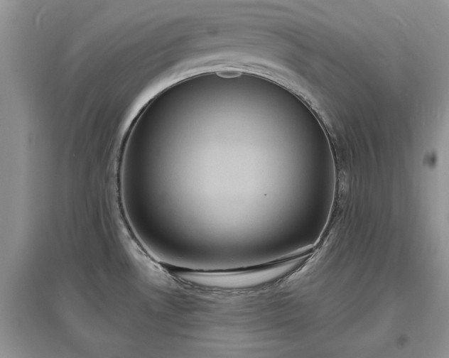 X0000097631530200803071520