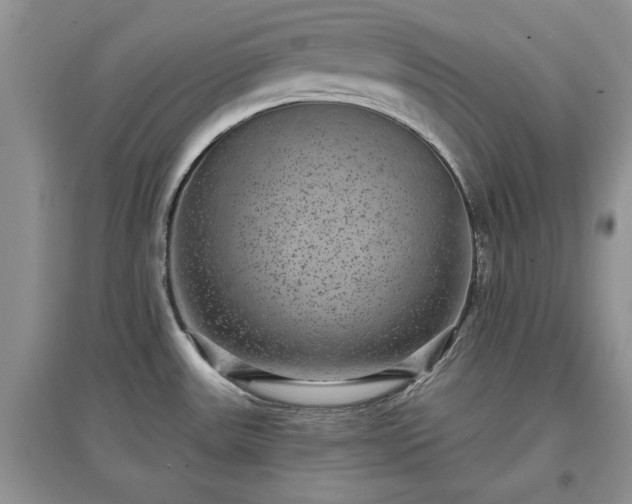 X0000097631531200803071520