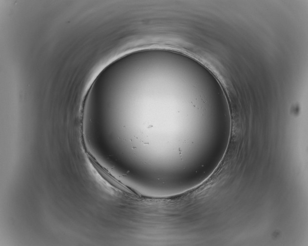 X0000097631532200803071520