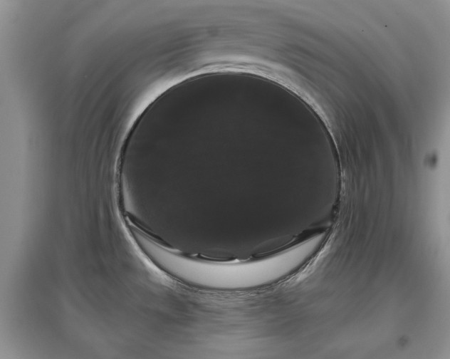 X0000097631533200803071521