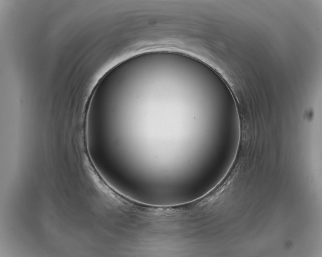 X0000097631534200803071521