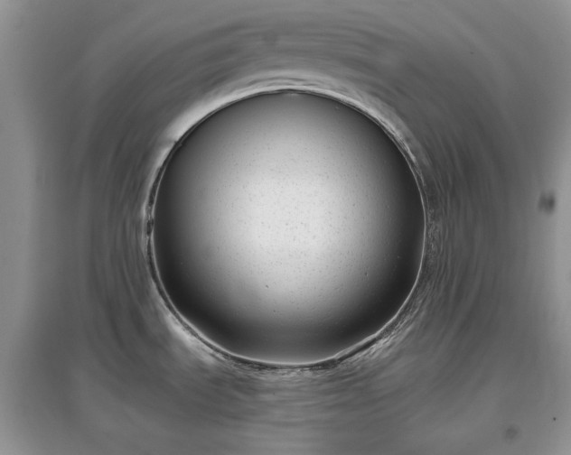 X0000097631535200803071521