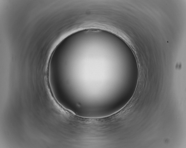 X0000097631536200803071521