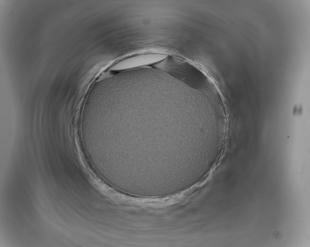 X0000097630001200803142034