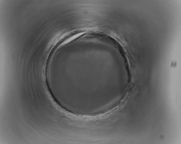 X0000097630002200803142034