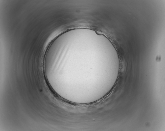 X0000097630004200803142034