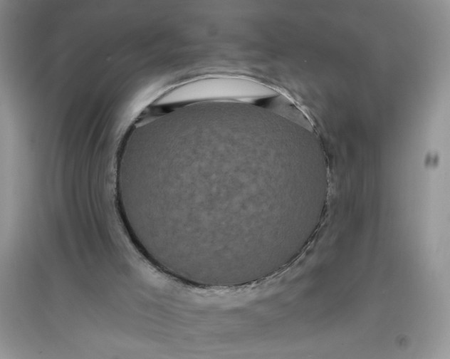 X0000097630005200803142034