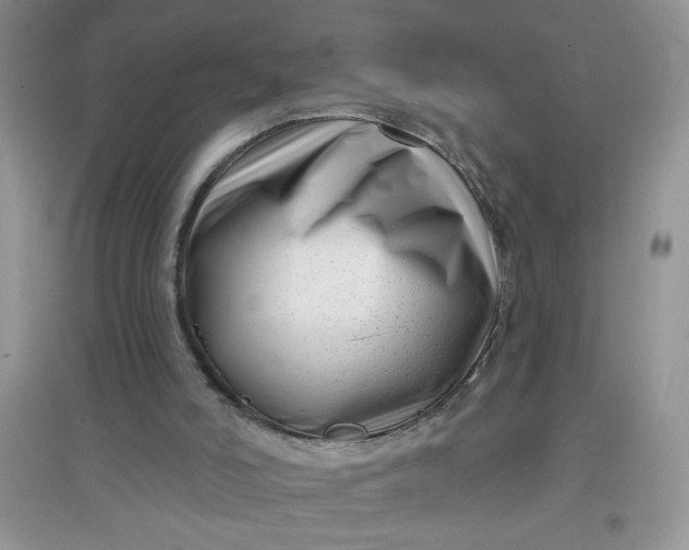 X0000097630006200803142034