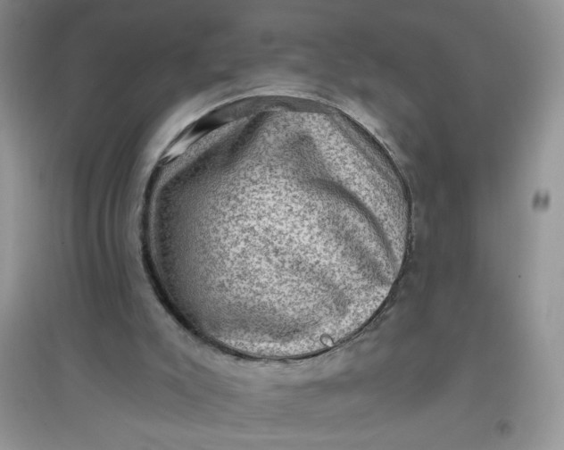 X0000097630007200803142034