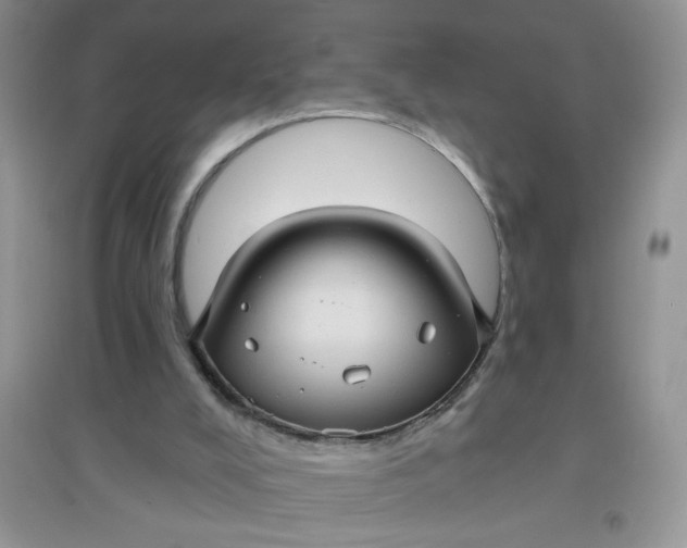 X0000097630008200803142034