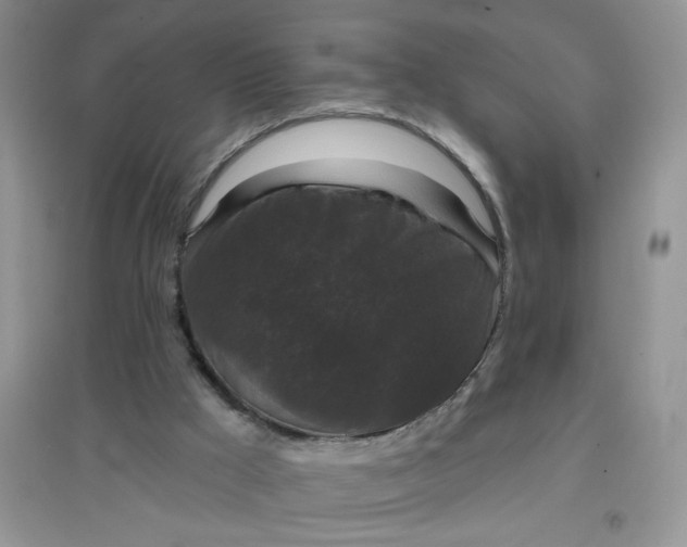 X0000097630009200803142034