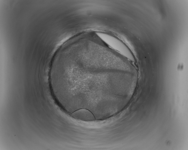 X0000097630010200803142034