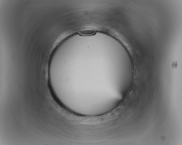 X0000097630011200803142034