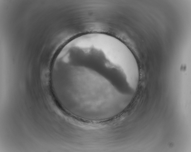 X0000097630012200803142034